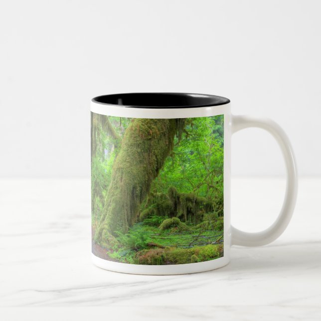 USA, Washington, Olympic National Park, Hoh Rain Two-Tone Coffee Mug (Right)