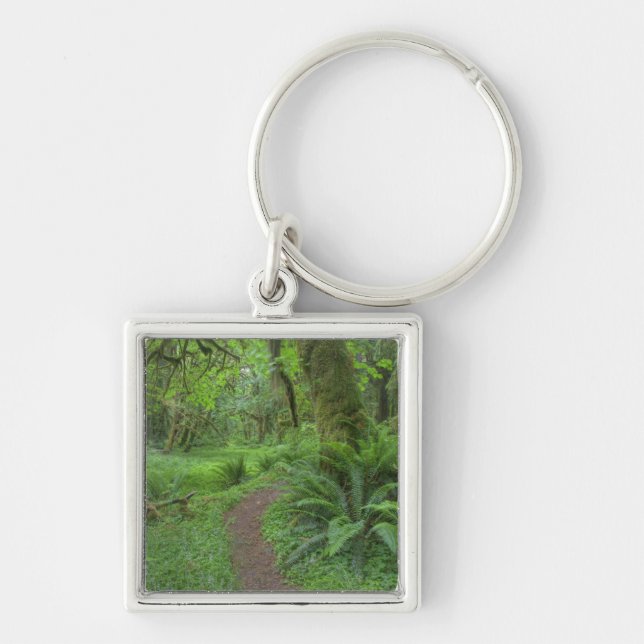 USA, Washington, Olympic National Park, Key Ring (Front)