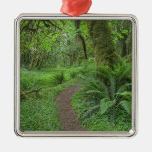 USA, Washington, Olympic National Park, Metal Tree Decoration