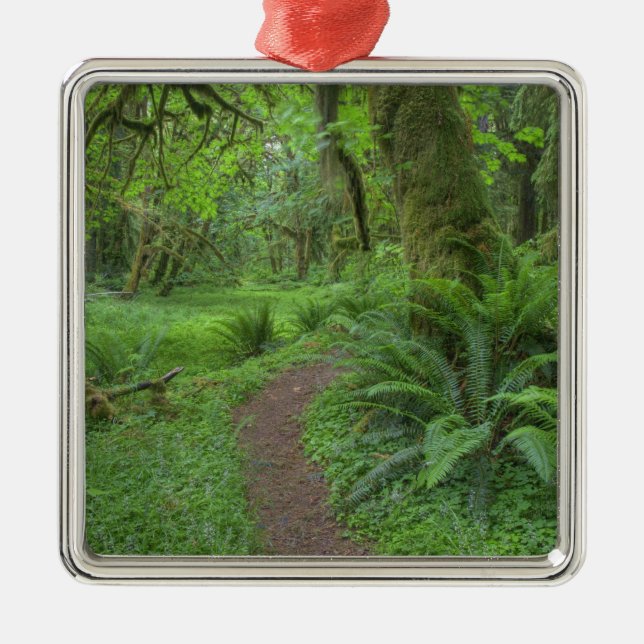 USA, Washington, Olympic National Park, Metal Tree Decoration (Front)