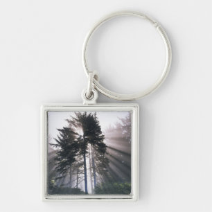 USA, Washington, Olympic National Park, Morning Key Ring