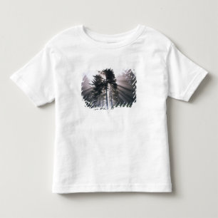 USA, Washington, Olympic National Park, Morning Toddler T-Shirt