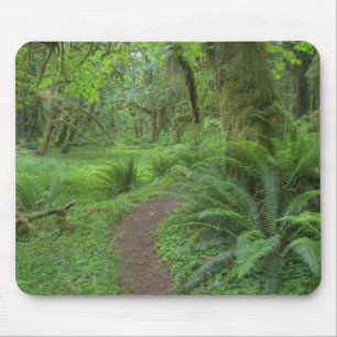USA, Washington, Olympic National Park, Mouse Mat