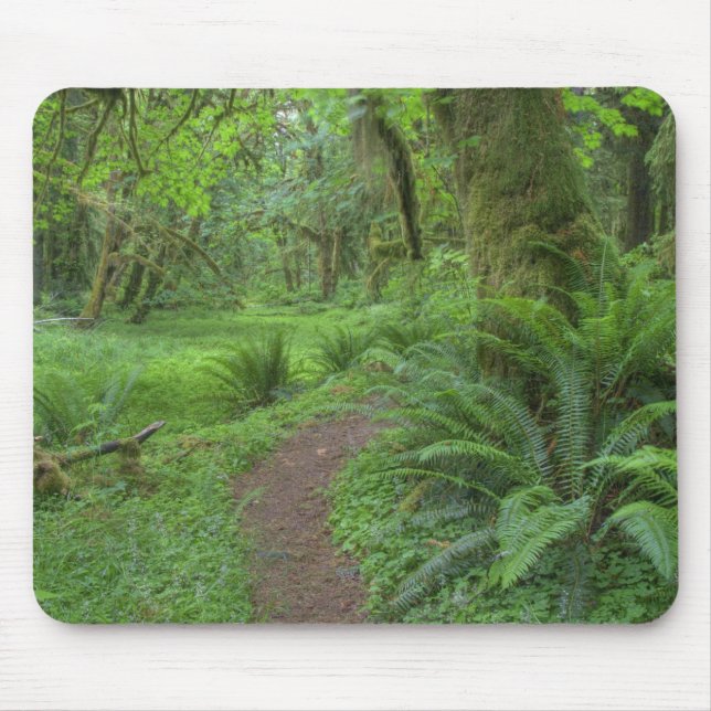 USA, Washington, Olympic National Park, Mouse Mat (Front)