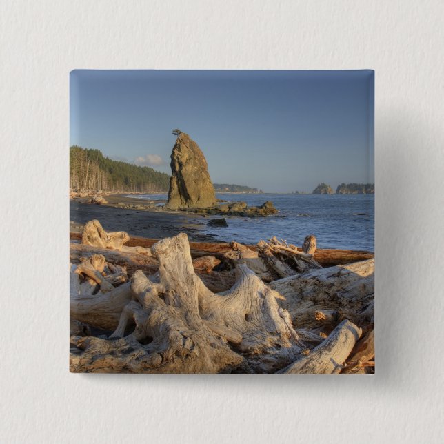 USA, Washington, Olympic National Park, Rialto 15 Cm Square Badge (Front)