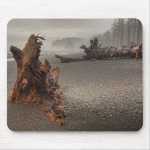 USA, Washington, Olympic National Park, Rialto 2 Mouse Mat