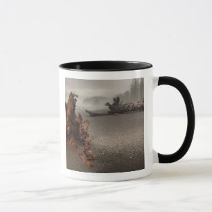 USA, Washington, Olympic National Park, Rialto 2 Mug