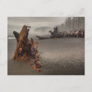 USA, Washington, Olympic National Park, Rialto 2 Postcard