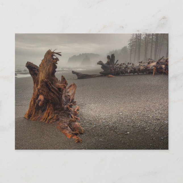 USA, Washington, Olympic National Park, Rialto 2 Postcard (Front)