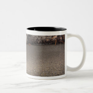 USA, Washington, Olympic National Park, Rialto 2 Two-Tone Coffee Mug