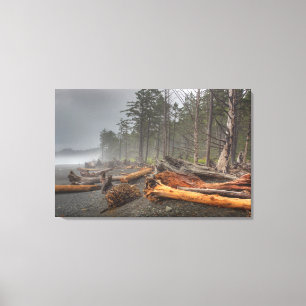 USA, Washington, Olympic National Park, Rialto Canvas Print