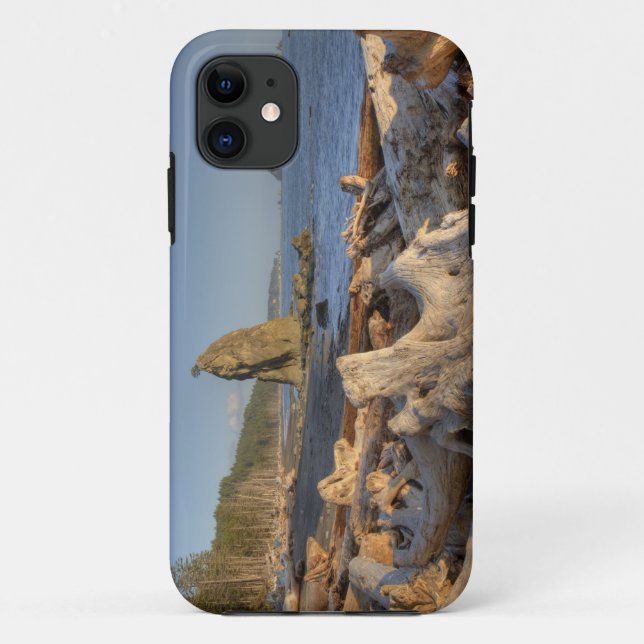 USA, Washington, Olympic National Park, Rialto Case-Mate iPhone Case (Back)