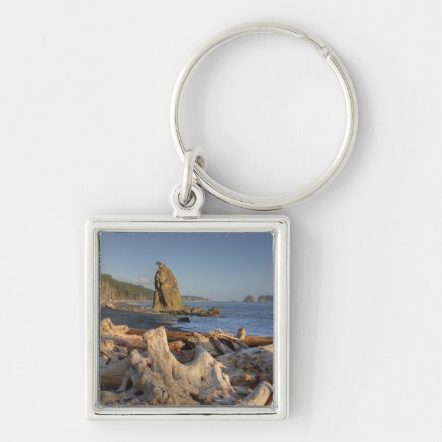 USA, Washington, Olympic National Park, Rialto Key Ring (Front)
