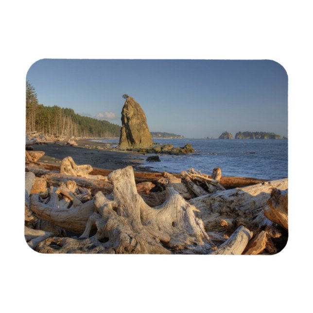 USA, Washington, Olympic National Park, Rialto Magnet (Horizontal)
