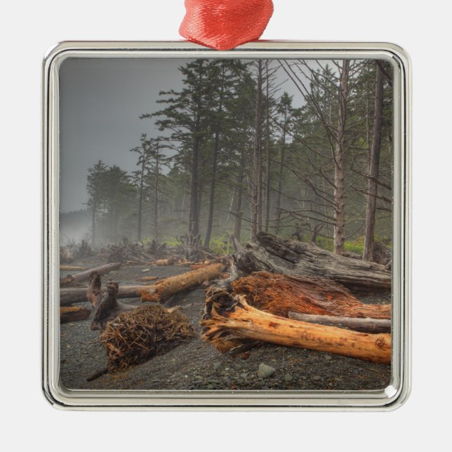 USA, Washington, Olympic National Park, Rialto Metal Tree Decoration (Front)