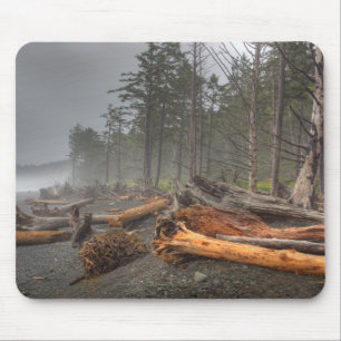 USA, Washington, Olympic National Park, Rialto Mouse Mat
