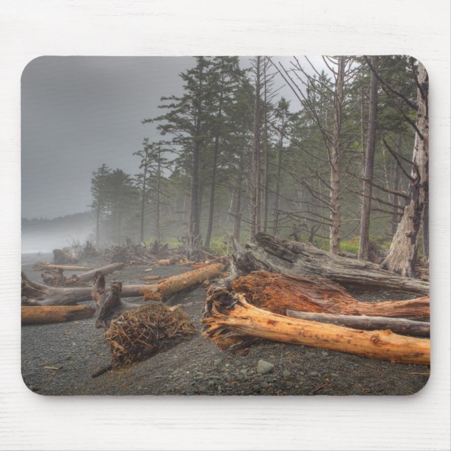 USA, Washington, Olympic National Park, Rialto Mouse Mat (Front)