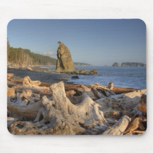 USA, Washington, Olympic National Park, Rialto Mouse Mat