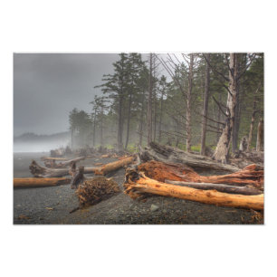 USA, Washington, Olympic National Park, Rialto Photo Print
