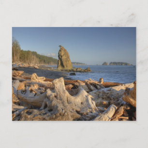 USA, Washington, Olympic National Park, Rialto Postcard