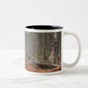 USA, Washington, Olympic National Park, Rialto Two-Tone Coffee Mug