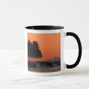 USA, Washington, Olympic National Park, Sea Mug