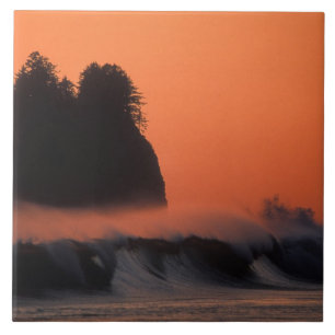 USA, Washington, Olympic National Park, Sea Tile