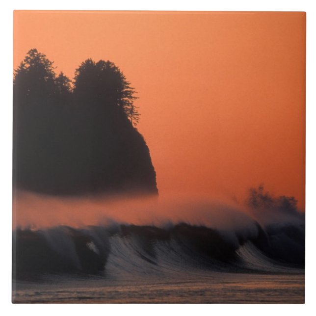 USA, Washington, Olympic National Park, Sea Tile (Front)