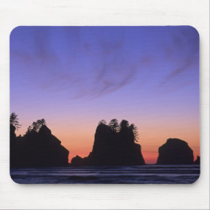 USA, Washington, Olympic National Park, Shi-shi Mouse Mat