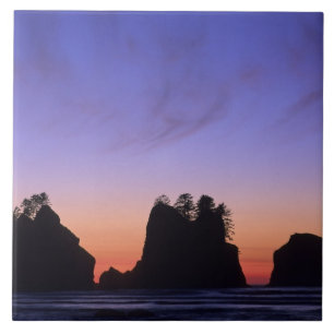 USA, Washington, Olympic National Park, Shi-shi Tile