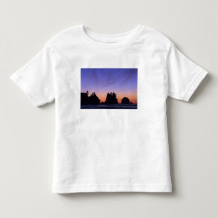 USA, Washington, Olympic National Park, Shi-shi Toddler T-Shirt