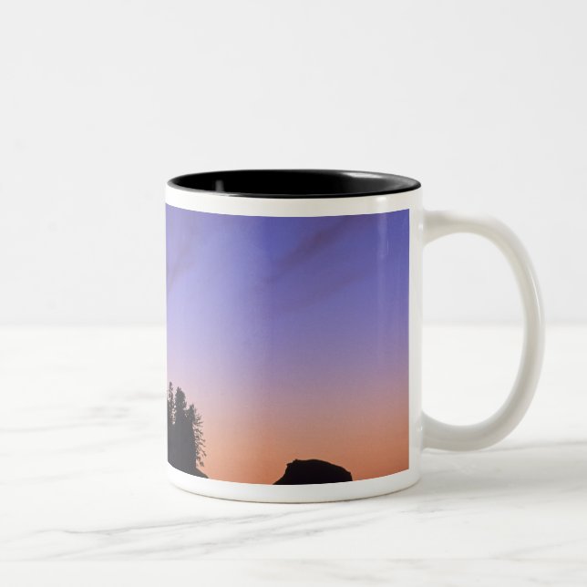 USA, Washington, Olympic National Park, Shi-shi Two-Tone Coffee Mug (Right)