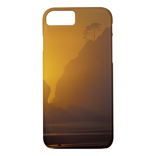 USA, Washington, Olympic Nat'l Park, Sunset, 2 Case-Mate iPhone Case (Back)