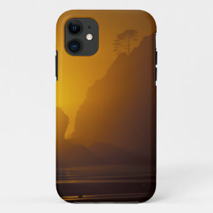 USA, Washington, Olympic Nat'l Park, Sunset, 2 iPhone 11 Case