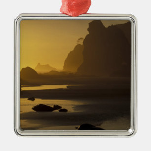 USA, Washington, Olympic Nat'l Park, Sunset, Metal Tree Decoration