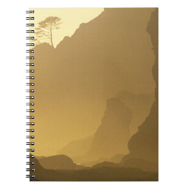 USA, Washington, Olympic Nat'l Park, Sunset, Notebook (Front)