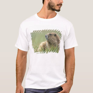 USA, Washington, Olympic NP, Olympic Marmot T-Shirt