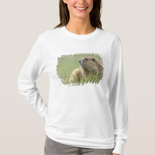 USA, Washington, Olympic NP, Olympic Marmot T-Shirt