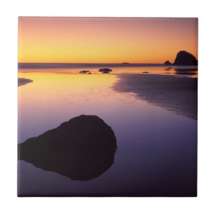 USA, Washington, Olympic Peninsula Tile