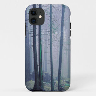 USA, Washington, Orcas Island, Moran State Park iPhone 11 Case