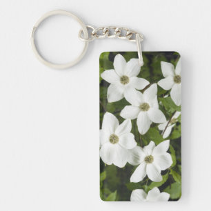 USA, Washington, Pacific Dogwood, Cornus Key Ring