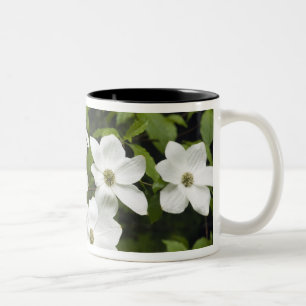 USA, Washington, Pacific Dogwood, Cornus Two-Tone Coffee Mug