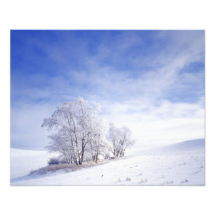 USA, Washington, Palouse Area, Frosted Black Photo Print