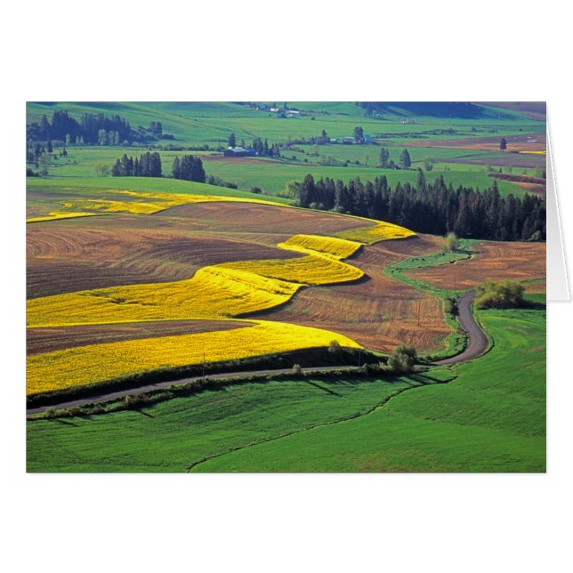 USA, Washington, Palouse, Whitman County 2 (Front Horizontal)