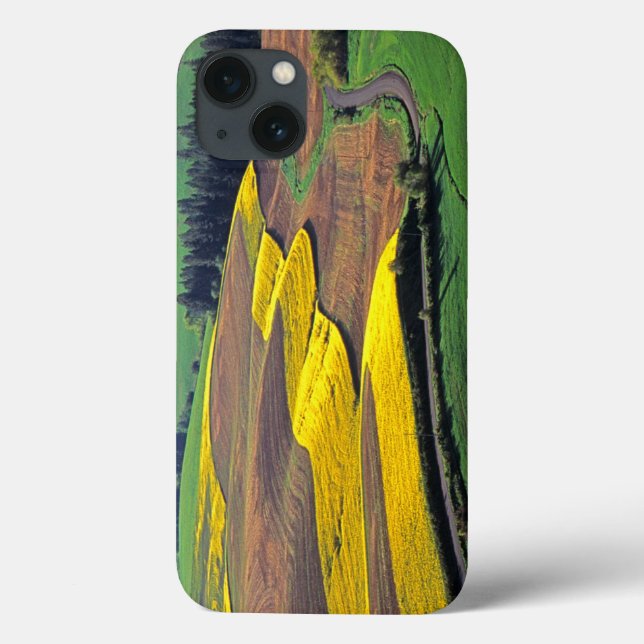 USA, Washington, Palouse, Whitman County 2 Case-Mate iPhone Case (Back)