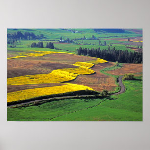USA, Washington, Palouse, Whitman County 2 Poster