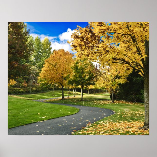 USA, Washington Poster (Front)