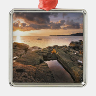 USA, Washington, San Juan Islands. A dramatic 2 Metal Tree Decoration
