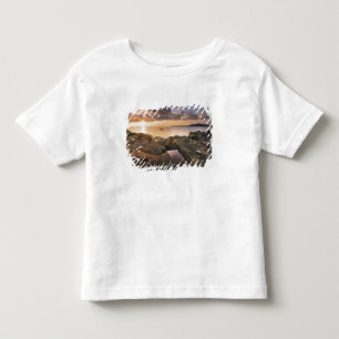 USA, Washington, San Juan Islands.  A dramatic 2 Toddler T-Shirt