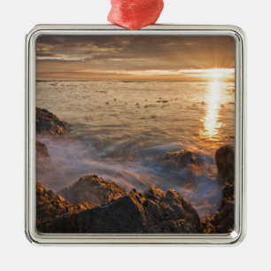 USA, Washington, San Juan Islands. A dramatic Metal Tree Decoration